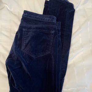 J Brand blue velvet jeans